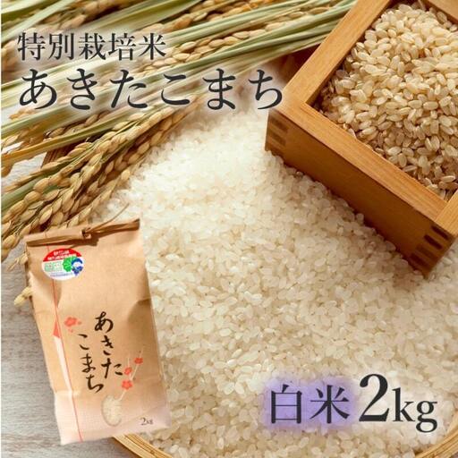 特別栽培米 あきたこまち 白米 秋田県産 特別栽培米[2kg]