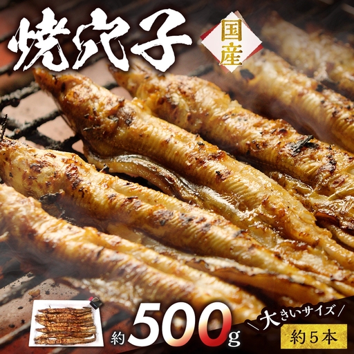 焼穴子 約500g(国産・大きいサイズ約5本)