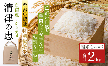 コシヒカリ 令和7年産 特別栽培米 清津の恵 2kg コシヒカリ