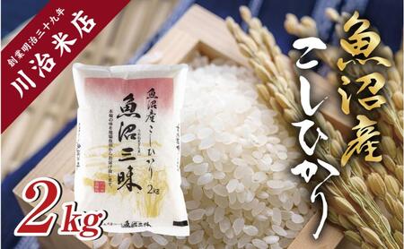 令和7年産 魚沼産 コシヒカリ 2kg 米 こしひかり お米 コメ 新潟 魚沼 魚沼産 白米 送料無料 新潟県産 精米 産直 産地直送 契約農家 お取り寄せ 魚沼三昧 川治米店 新潟県 十日町市 もちもち 甘み 