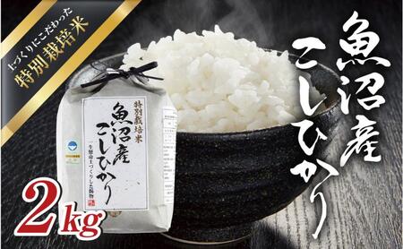 令和7年産 魚沼産 コシヒカリ 特別栽培米 2kg 米 こしひかり お米 コメ 新潟 魚沼 魚沼産 白米 送料無料 新潟県産 精米 産直 産地直送 契約農家 お取り寄せ 魚沼三昧 川治米店 新潟県 十日町市 もちもち