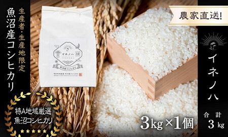 【令和7年産】 魚沼産コシヒカリ 「イネノハ 」精米(3kg×1) お米 白米 ご飯 産地直送 ミネラル 栄養分 こだわり 人気 新鮮 