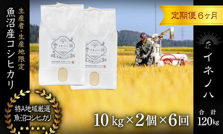 ＜定期便・全6回＞【令和7年産】魚沼産コシヒカリ「イネノハ 」精米(10kg×2)×6回 お米 白米 ご飯 産地直送 ミネラル 栄養分 こだわり 人気 新鮮 