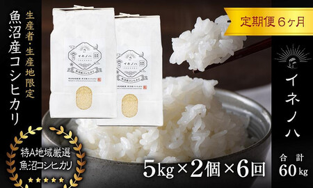 ＜定期便・全6回＞【令和7年産】魚沼産コシヒカリ「イネノハ 」精米(5kg×2)×6回 お米 白米 ご飯 産地直送 ミネラル 栄養分 こだわり 人気 新鮮 