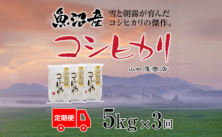 定期便 全3回 魚沼産コシヒカリ 5kg お米 米 コメ 