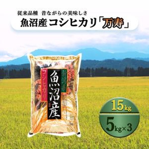 数量限定 従来品種 魚沼産コシヒカリ 精米 5kg×3