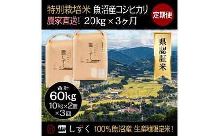 【令和8年産】定期便！農家直送！県認証特別栽培魚沼産コシヒカリ【合計60kg】毎月20kg×3回 精米 ご飯 ブランド米 銘柄米