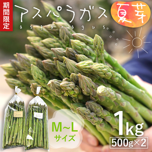 数量限定 アスパラ 夏芽 M~Lサイズ 1kg（500g×2）予約受付 2026年6月～8月頃に順次発送  野菜 農家直送 