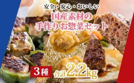 《期間限定：訳アリ不揃い唐揚げ500g付き》お手軽国産素材の手作りおかず3種類セット2.2kg(ピーマン肉詰め ハンバーグ 唐揚げ) TF0759-P00064