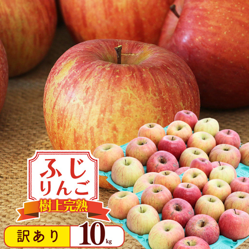 令和8年産 訳あり りんご 10kg  「ふじりんご」生産者直送 2026年産 山形県産 【2026年11月下旬頃から12月下旬頃発送予定】　020-B-NG010