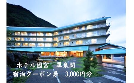 ホテル国富 翠泉閣 宿泊クーポン券 3,000円分[新潟県 糸魚川市 温泉 源泉かけ流し 國富 秘湯 長野県境 姫川温泉 旅行 観光 宿泊補助券]