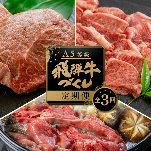【ふるなび限定】定期便 飛騨牛 3回 定期便 トキノ屋食品 FN-Limited-PR