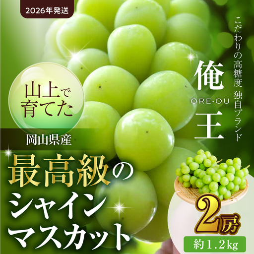 【2026年発送】最高級 シャイン マスカット「俺王」2房入り（10月初旬～10月下旬頃発送）【シャインマスカット】
