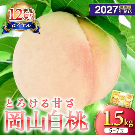 【2027年発送分・先行予約開始！】岡山県産 白桃 最高ランク！「ロイヤル」約1.5kg 5～7玉（令和9年7月以降発送）【桃】_bz