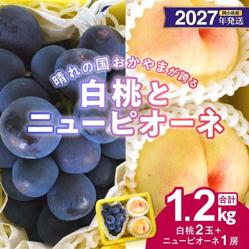 【2027年発送分・先行予約開始！】岡山県産 白桃とニューピオーネのセット（令和9年7月以降発送）【ニューピオーネ 桃】