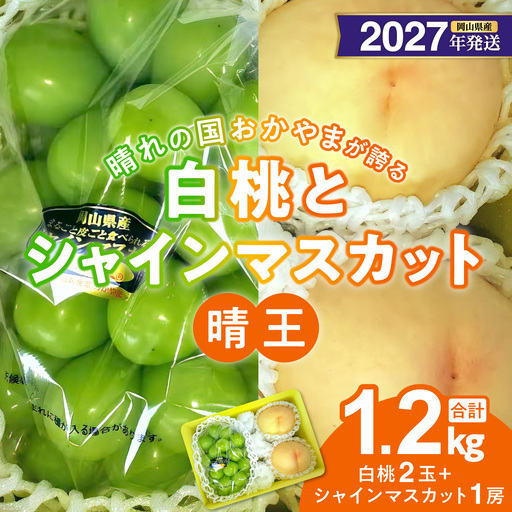 【2027年発送分・先行予約開始！】岡山県産 白桃とシャインマスカットのセット（令和9年7月以降発送）【シャインマスカット 桃】