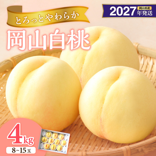 [2027年発送分・先行予約開始!]岡山県産 白桃 約4kg 8〜15玉(令和9年7月以降発送)[桃]
