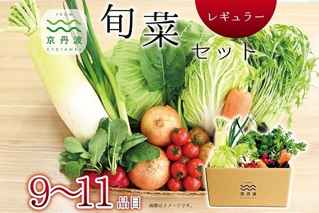 [京丹波野菜セット]京丹波 旬菜セット レギュラー 9〜11品目 [野菜詰め合わせ 京野菜 ] [012KK002]