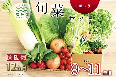 【12回定期便】 京丹波 旬菜セット レギュラー 9～11品目【 野菜 野菜定期便  】 