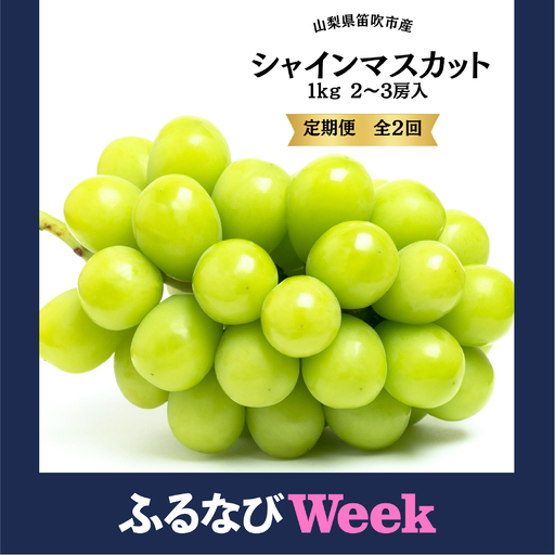 【ふるなびWEEK対象】【2026年発送★先行予約】葡萄の一大産地！笛吹市産シャインマスカット定期便×２回 167-015-26y-week10 ※沖縄・離島配送不可