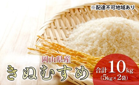 米 特A ランク きぬむすめ 10kg (5kg×2袋) 令和7年産 こめ コメ 白米 岡山県産
