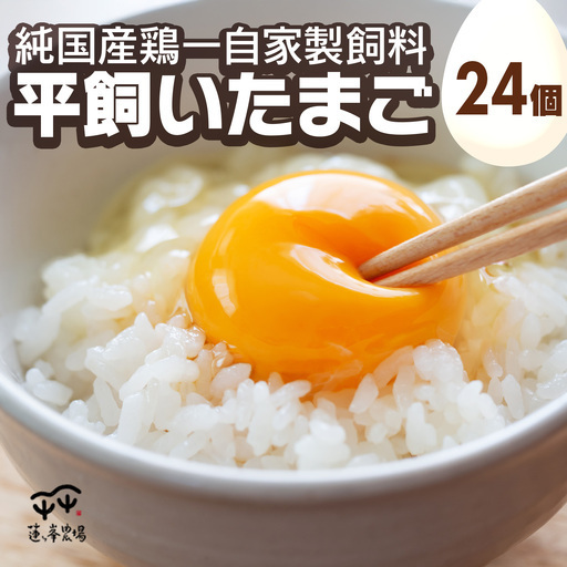 卵 平飼いたまご 純国産鶏卵 24個