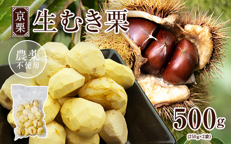 [12月発送] 生むき栗 京栗 くり 冷凍 500g