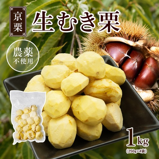 栗 生むき栗 冷凍 1kg 12月発送［BSAR006］