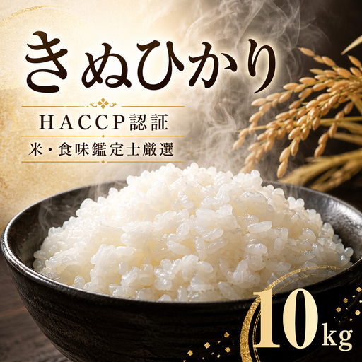 令和7年度産 丹波産 きぬひかり 10kg（5kg×2） / 米 お米 国産 綾部市 / 株式会社丸越［BSCI005］