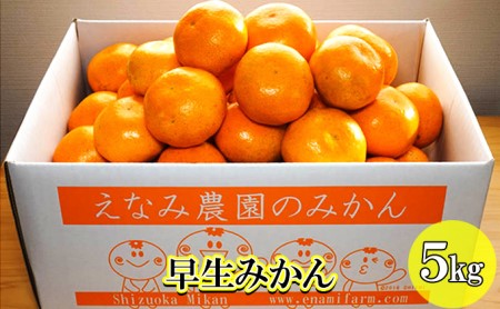 みかん えなみ農園の早生みかん 5kg 果物類 柑橘類 みかん