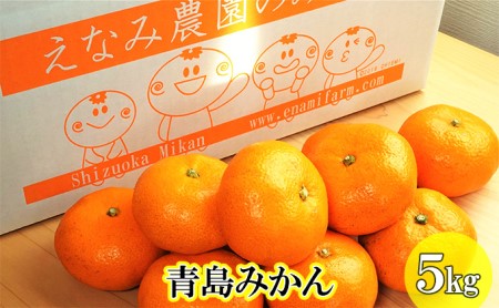 みかん えなみ農園の青島みかん 5kg 果物類 柑橘類 みかん