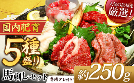 本場 熊本 馬刺し 豪華 5種盛り約250g(50g×5P)専用タレ付き | 馬刺 馬刺し 赤身 霜降り 肉 馬肉 お肉 刺身 生肉 熊本県 玉名市