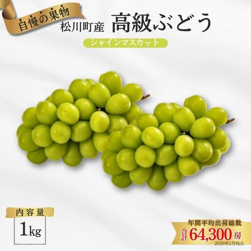 ぶどう シャインマスカット 約1kg/2026年9月中旬〜10月初旬 配送予定 // 長野県 松川町産 南信州 葡萄 ブドウ 種なし 高品質 2〜3房 高糖度 高地栽培 シャインマスカット 1kg