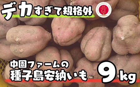数量限定 中園ファーム 種子島 安納いも 規格外 特大サイズ 9kg NFN476[350pt]