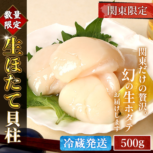 【関東限定！生ほたて】《期間限定》北海道雄武産 生玉ほたて500g塩水パック（冷蔵）【0712503】
