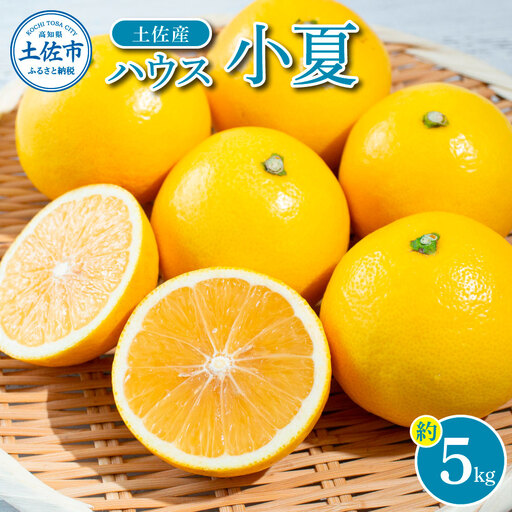 [先行予約][先行予約]自然の味をそのままに旨味の塊ハウス小夏約5kg[2027年4月下旬から発送開始]高知県土佐市 [やの一果彩] [BQAC037]
