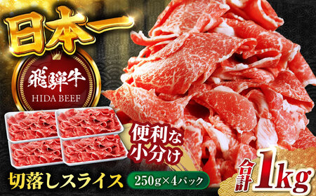 飛騨牛切り落とし1kg 飛騨牛 切り落とし[ANBO005]