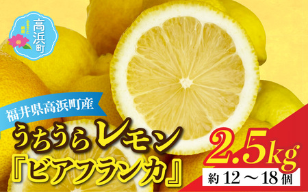 【先行予約】日本海で育ったうちうらレモン「ビアフランカ2.5kg」皮まで丸ごと食べられます！【2027年1月初旬ごろ順次発送】