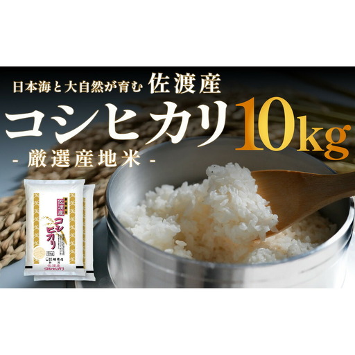 佐渡産コシヒカリ 10kg (5kg x 2) 令和7年産