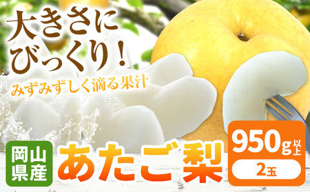 あたご梨 大玉2玉[配送不可地域あり]