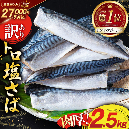 訳あり 塩サバ 2.5kg [宮城県 気仙沼市 20564146] サバ