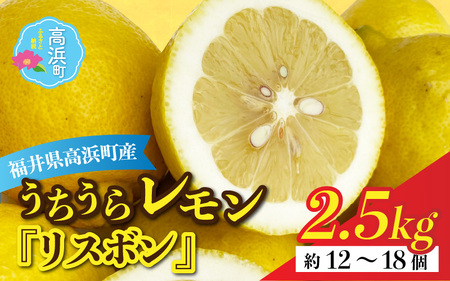 【先行予約】日本海で育ったうちうらレモン「リスボン2.5kg」皮まで丸ごと食べられます！【2026年12月下旬より順次発送】