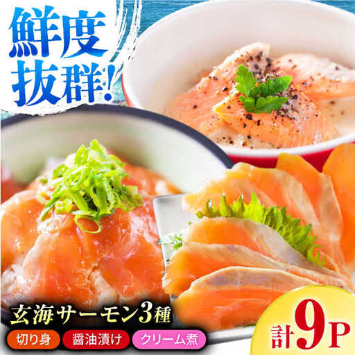 玄海サーモン3種詰合せ（切り身、醤油漬け、クリーム煮） / 佐賀県 [41AECT005]