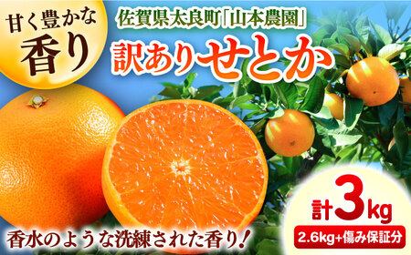 【2027年2月中旬以降発送】【訳あり】せとか 計3kg（2.6kg＋400g傷み保証分） S-3Lサイズ / みかん 太良町 せとか / 佐賀県 [41ATBT010]