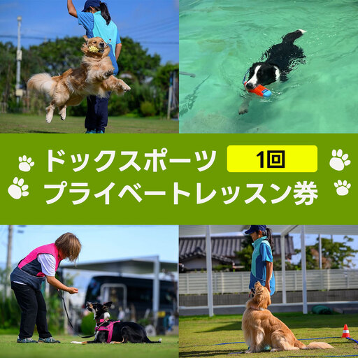 ドックスポーツ プライベートレッスン券(1回/1時間) ふるさと納税 ドッグスポーツ 利用券 チケット 犬 イヌ 千葉県 白子町 送料無料