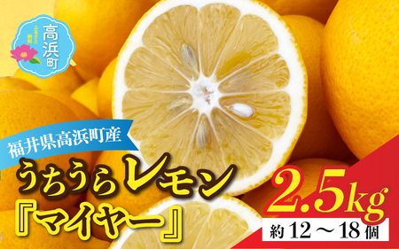[先行予約]日本海で育ったうちうらレモン「マイヤー2.5kg」皮まで丸ごと食べられます![11月中旬ごろ順次発送]