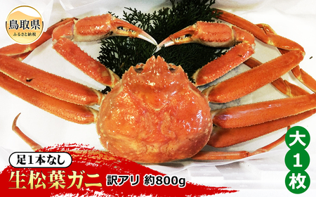 【魚倉】足1本なし生松葉ガニ訳あり 大 約800g【期間限定】_T2600166