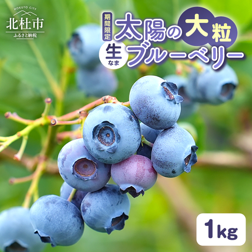 【2027年先行予約】【大粒】山梨県産（明野産）生果 ブルーベリー1000g [h290]