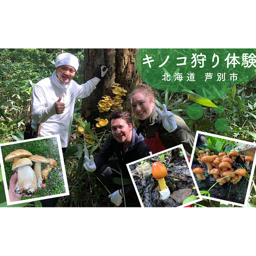 体験 北海道 季節のキノコ狩り 体験チケット 1枚 (1名様分) ioru