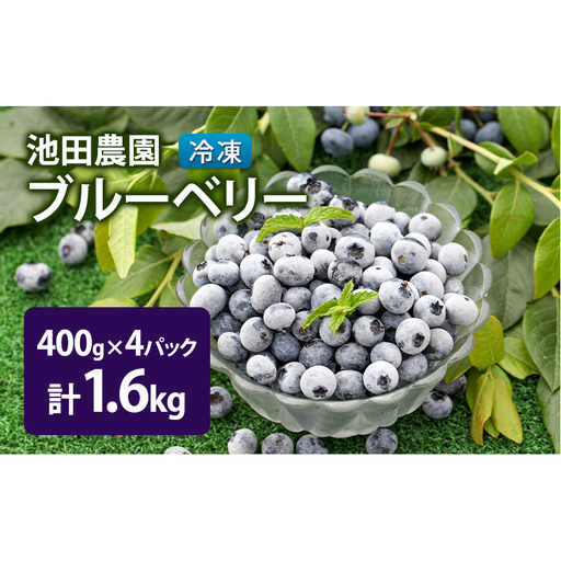 冷凍 ブルーベリー 1.6kg (400g×4パック) 北海道産 フルーツ 果物